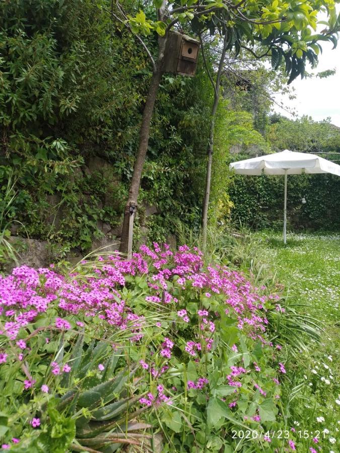 Apartamentos & Casa Rural Boada Con Jardin Interior Y Barbacoa Villamiel Экстерьер фото